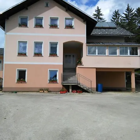 Kmetija Knavs Farm stay